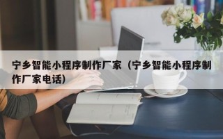 东海宁乡智能小程序制作厂家（宁乡智能小程序制作厂家电话）